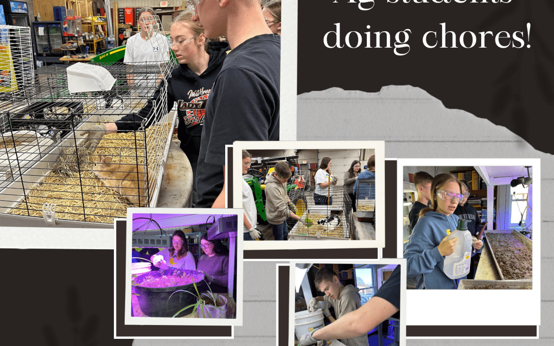 Ag Students Doing Chores